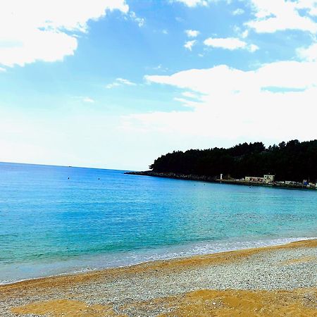 Philoxenia Guest House Himare Exterior photo