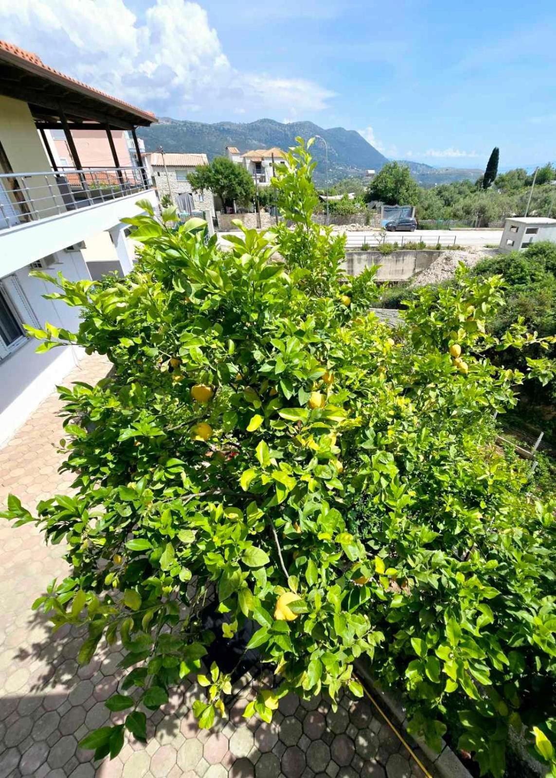 Philoxenia Guest House Himare Exterior photo