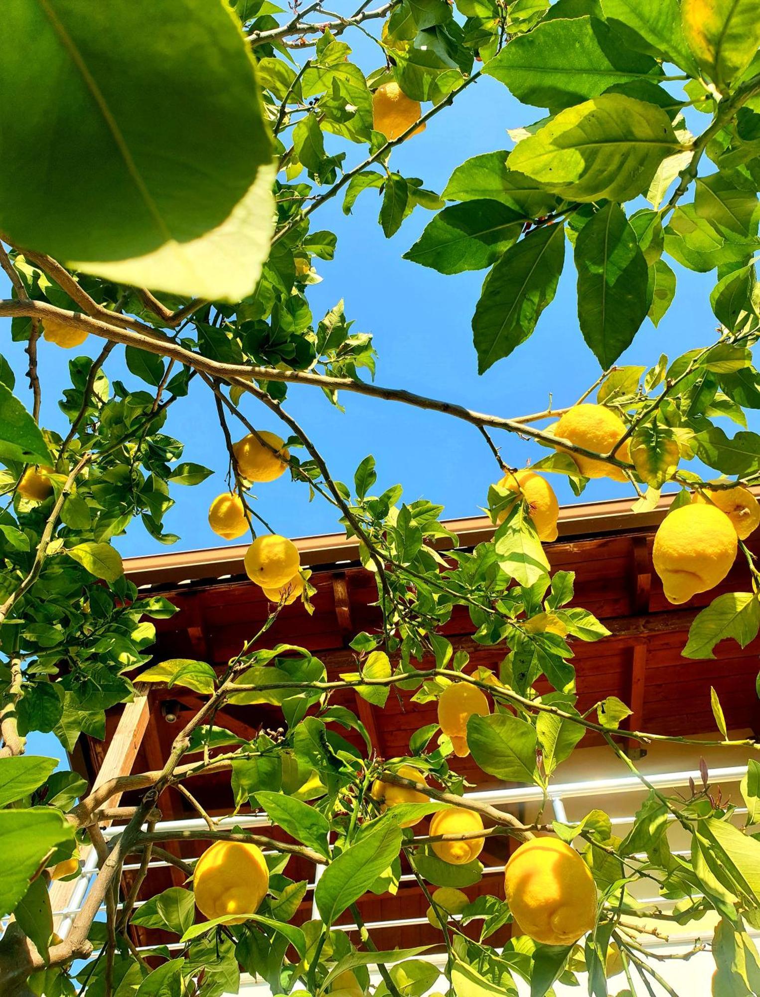 Philoxenia Guest House Himare Exterior photo