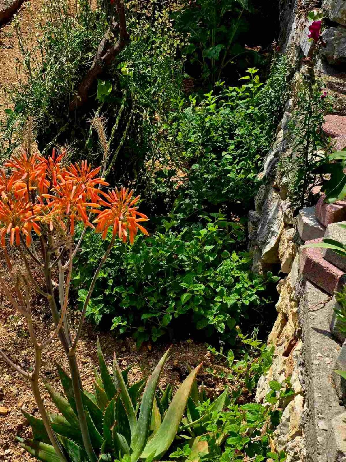 Philoxenia Guest House Himare Exterior photo